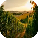 Tour Itinerary Image